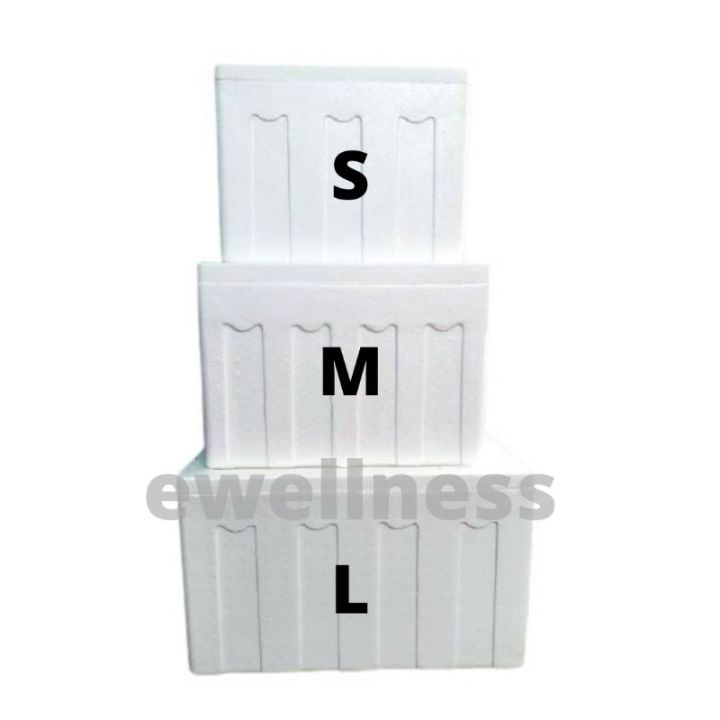 Styrofoam Cooler Foam Ice Box for Frozen Fresh Food Item Lazada Singapore