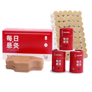 Small moxa rotating micro smoke box with daily replaceable tube