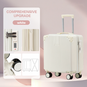 BoldEdge 18 Inches Luggage Hand Carry Luggage 7kg Boarding plane Lightweight Waterproof Trolley Case