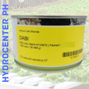 DABI LETTUCE SEEDS BY ENZA ZADEN (5000 SEEDS CAN)