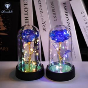 LED Galaxy Rose Lamp Glass Cover Birthday Gift for Girlfriend Mothers Day Valentines Day