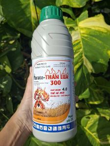 [TRUNG THIEN THINH] Thuốc trừ cỏ lưu dẫn KENBAST 15SL GOLD (Parato THẦN LỬA) chai 900ml công ty BMC
