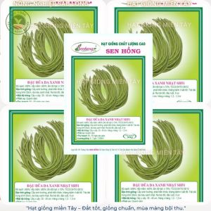 SH51 - GIỐNG ĐẬU ĐŨA XANH NHẠT - SEN HỒNG GÓI 100GR
