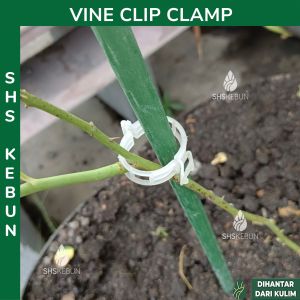 Vine Clip Clamp (100pcs) Hanging and Supporting Vine Crop Plant Clamp White Plastics Klip Pengepit Pengapit Akar Pokok SHS Kebun