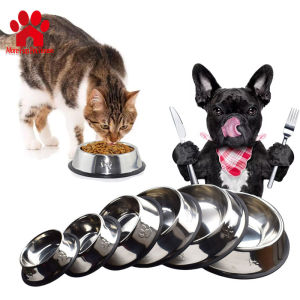Ultimate Guide to Stainless Steel Dog Bowls & Anti-Slip Pet Bowls