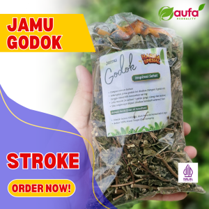 JAMU STROKE PALING MANJUR DAN AMPUH / HERBAL JAMU GODOK / TANPA EFEK SAMPING