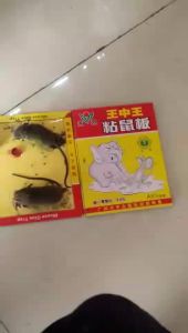 Sticky Mouse Trap Yongkai Brand A5/A2/P2 Super Large Strong Adhesive Mouse Board Manufacturer Wholesale Supplier Supermarket Mouse Trap