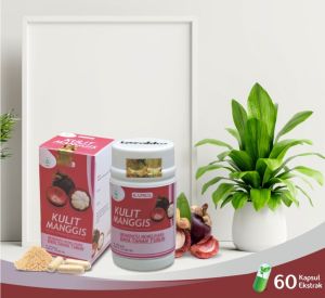Ekstrak Kapsul Kulit Manggis Suplemen Kesehatan Tubuh Obat Imun Antioksidan Tinggi isi 60