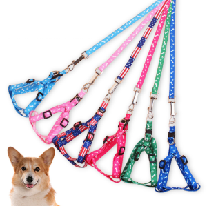 Comfortable Adjustable Leash: A Comprehensive Guide