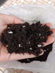 6IN1 Organic Black Soil Topsoil Potting Soil Tanah Organik 1KG Garden Soil Tanah Pasu Terbaik