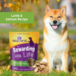 Wellness The Rewarding Life - Training Rewards Soft & Tasty Dog Treats 6oz (170g) | 4 Recipes
