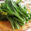 เมล็ดพันธุ์ กวางตุ้งดอก Green Choy Sum Seed Chinese Flowering Cabbage Organic Vegetable Seeds for Planting เมล็ดพันธุ์ผักกาดกวางตุ้ง ดอกช่อขจร เมล็ดพันธุ์แท้ OP เมล็ดพันธุ์ผัก ผักสวนครัว ผักออร์แกนิก พันธุ์ผัก เมล็ดผัก ปลูกได้ตลอดปี (600 เมล็ด/ซอง). 