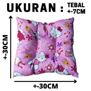 Kasur Tempat Tidur Kucing Alas Bulu Rasfur Halus dan Tebal Bantal Kucing Anjing Aerizoo