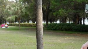 ESIN Action Camera Mount For Gopro 11 10 Insta360 DJI Action 2 3 Camera Octopus Tripod Phone Holder Clip Stand Flexible Mount