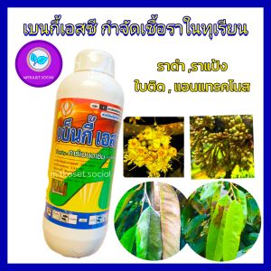 คาร์เบนดาซิม 50% SC 1 ลิตร เบนกี้เอสซี กำจัดเชื้อราในทุเรียน กันเชื้อรา ขนาด 1 ลิตร ยาทุเรียน กำจัดโรคพืช เช่น โรคใบติด โรคใบไหม้ โรคราแป้ง แอนแทรคโนส