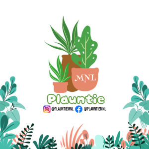 Versatile Plant Support: The Stackable PVC Cocopole