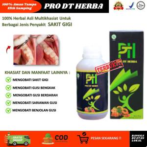 Obat Sakit Gigi Berlubang Paling Ampuh - Obat Sakit Gigi Paling Ampuh Dewasa dan Anak - Obat Sakit Gigi Resep Dokter -  Sakit Gigi Bolong - Gigi Kropok - Nyeri Gusi Bengkak - PRO DT HERBA 100% Asli