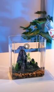 Small living room fish tank new landscaping ecological tank ultra-transparent anti-drop filter acrylic desktop turtle tank