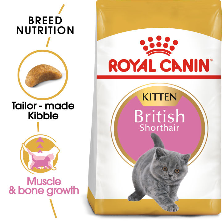 Royal canin sale british shorthair 4kg