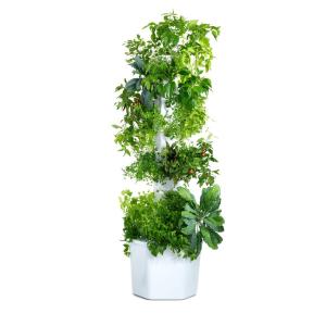 Aerospring Vertical Hydroponic System - Aerospring Pro 36 plants 10m pump cord length