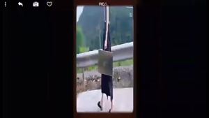 Portable BBQ Grill - Foldable Stainless Steel Camping Grill with Carrying Case Compact Outdoor Cooking for Picnic Beach Tailgating & Backyard Heavy Duty & Rustproof