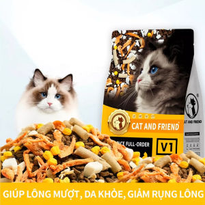Hạt Cho Mèo cat and friend PET V1 Hạt thịt sấy siêu Mix Thịt Đông Khô Kích Thích Thèm Ăn