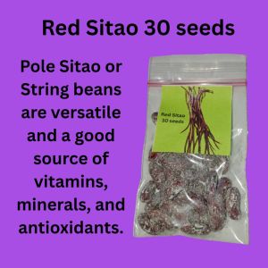 Red Pole Sitao 30 seeds/ String beans/ Vegetable Seeds