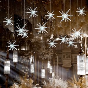 BERMA BABY Sea Urchin String Lights Set Ten Heads Hanging Starburst LED Wedding Party Ceiling Decor