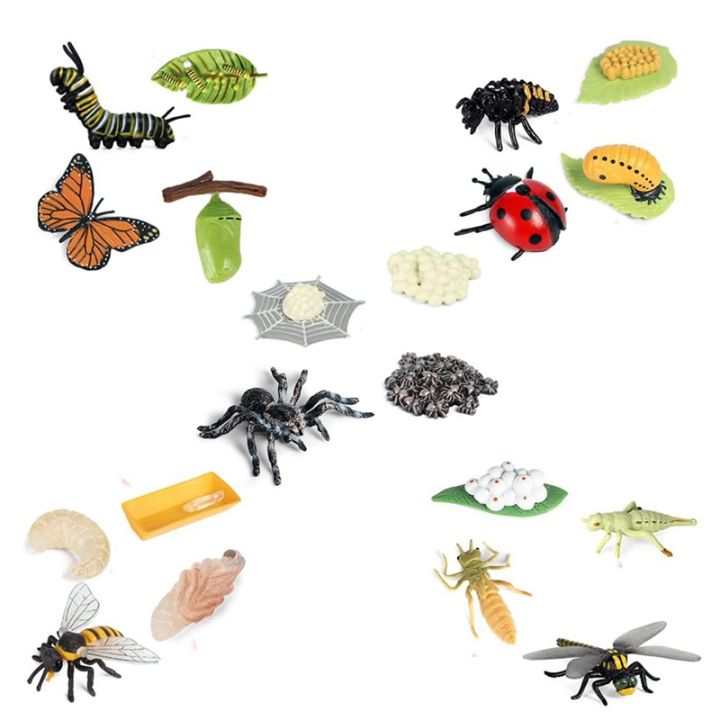 Life Cycle Figurines of Butterfly Spider Bee Ladybug Dragonfly, Plastic