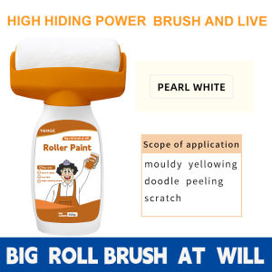 Household wall paint repair kit