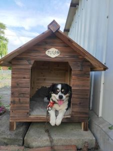 Elegant Carbonized Solid Wood Dog House for All Breed Sizes - Outdoor Pet Bed