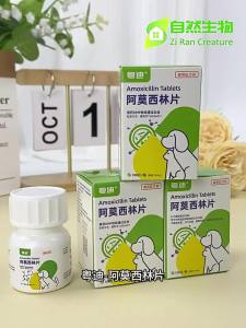 【Ship in 24H】阿莫西林片兽用狗狗猫宠物鸡鸭鹅呼吸泌尿皮肤感染抗菌兽药正品