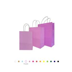 (WHOLESALE) Kraft Paper Bag - Carrier Twisted Handle Kraft Coloured Paper Bags Mooncake Lantern Festival Bags