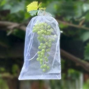 100pcs Grapes Fruit Grow Bags Netting Mesh Strawberry Vegetable Plant Protection Bags For Pest Control Anti-Bird Garden Tools