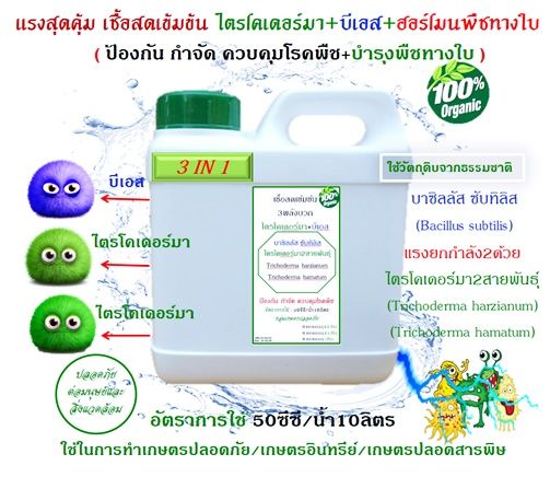 เชื้อสด ไตรโคเดอร์มา บีเอส ฮอร์โมนพืชทางใบ ป้องกันโรค บำรุงต้น