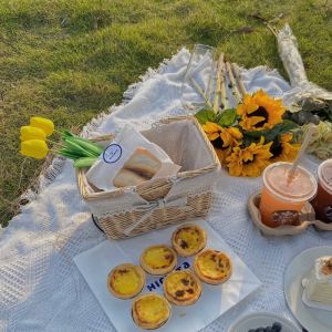 Picnic mat French Art ins Outdoor Camping universal Thickened double sided picnic cloth tablecloth photo mat Portable outdoor travel camping picnic mat Lawn beach mat Dorm book tablecloth