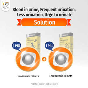 【CASSIEL-PET】Enrofloxacin For HematuriadysuriaNasal DischargeFeverSkin swellingVomitingdiarrhea For Dogs & Cats 1 TABLET Loose Pack