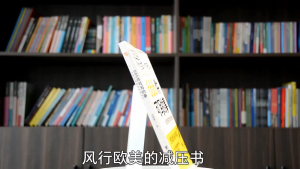 Chinese books 正版 666件可写的事 创意无限的写作游戏书 李成豪○著『想写|敢写|会写|爱写 666个创意无限的写作练习 从零基础到好文笔』