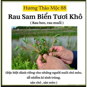 🌿 Rau Sam Biển Tươi Khô (0971183688) – Đặc Biệt Dành Cho Người Nuôi Chó MèoDễ Nhiễm Kí Sinh Trùng Sán Chó Sán Mèo