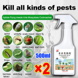 🐛Eliminate all plant pests🐛pesticides for plants Racun serangga tanaman 500ml Eliminate all pests on plants racun serangga perosak tanaman Harmless to plants Insecticides for plants Pest Control Anti Serangga Organik Spray 农药杀虫剂