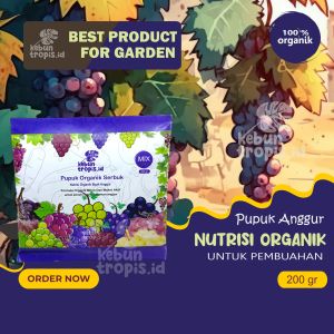 Pupuk Organik Anggur Agar Cepat Berbuah Lebat Pupuk Organik Pemanis Buah Anggur dan Penyubur Tanah dan Tanaman Anggur Perangsang Buah Serbuk Terbaik Pupuk Penumbuh Bunga Buah dan Akar Stek Pupuk untuk bibit Anggur Organik Super Aktif Pupuk Anggur Merah Hi