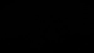 2022-2025 For Tiger Sport 800 660 Folding Adjustable Brake Levers Clutch Lever Handle Control Kit Brake Clutch Lever Tigersport