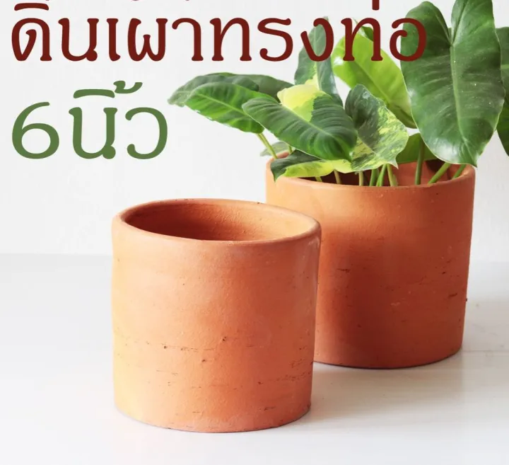 กระถางดินเผาทรงท่อเรียบ 6 นิ้ว Terracotta Pot