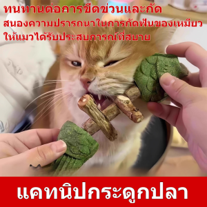 มูเทียน ทนต่อการกัด บรรเทาความอับชื้น กระดูกปลา ของเล่นแมว รู้สึกมีความสุข ไม้กวาดฟัน/มูเทียน ทนต่อการกัด บรรเทาความอับชื้น กระดูกปลา ของเล่นแมว รู้สึกมีความสุข ไม้กวาดฟัน