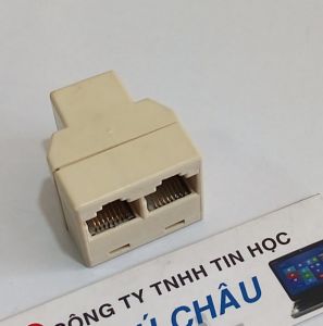 Đầu nối mạng 1 ra 1 / Đầu chia mạng 1 ra 2 (UTP RJ45 Loại thường)