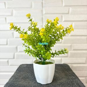 Tanaman Hias Pohon Mini Artificial Buxus Bunga Kuning Pot Plastik Putih Pajangan Dekorasi Meja Aesthetic