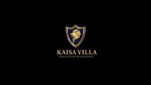 Kaisa Villa Steam Iron Handheld Garment Steamer Travel Steamer Iron for Clothes Foldable
