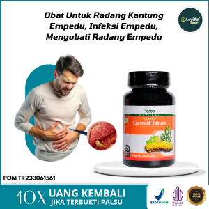 Obat Radang Kantung EmpeduPeradangan Kantung Empedu Infeksi Empedu Mengobati Radang Empedu Dengan Asli Kapsul Gamat Emas