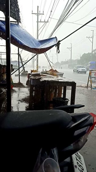 Buyer review video 2