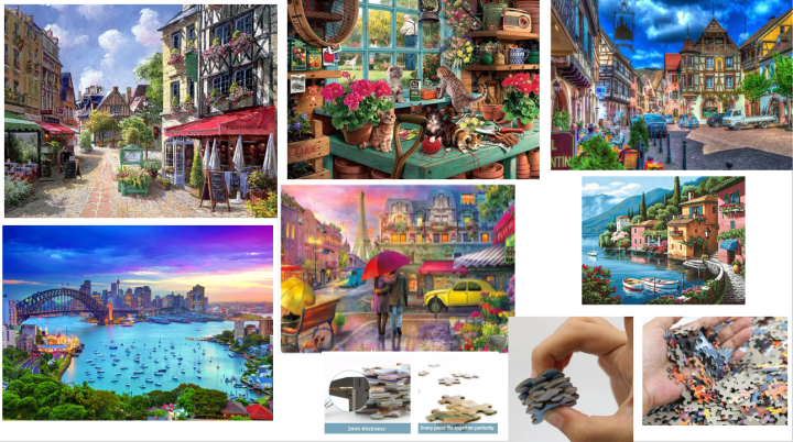 VITA PUZZLES 1000 pcs Jigsaw puzzles for adults and young adults for